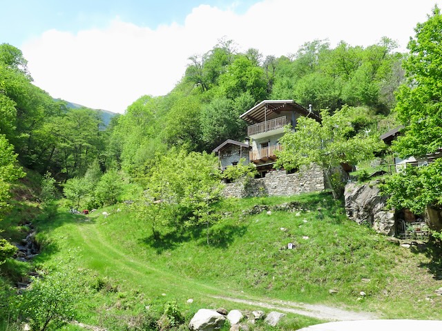 A short written description about the image. Very good for accessibility, AL machine learning and search engine optimisation.