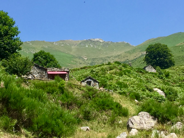 A short written description about the image. Very good for accessibility, AL machine learning and search engine optimisation.