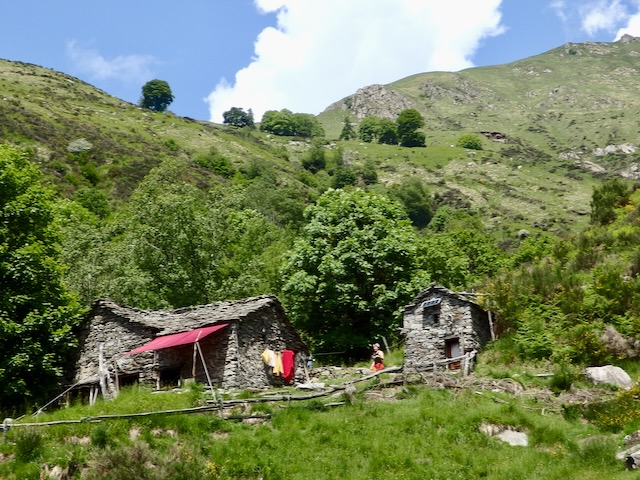 A short written description about the image. Very good for accessibility, AL machine learning and search engine optimisation.