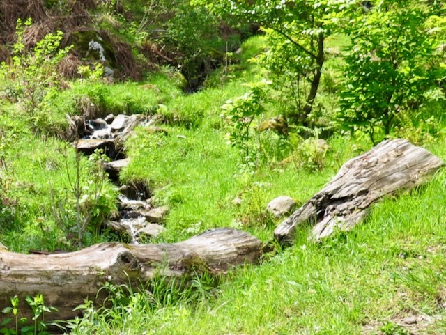 A short written description about the image. Very good for accessibility, AL machine learning and search engine optimisation.