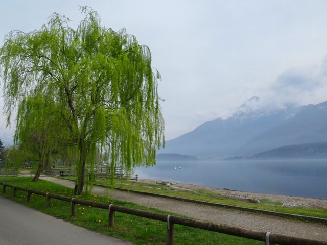 A short written description about the image. Very good for accessibility, AL machine learning and search engine optimisation.