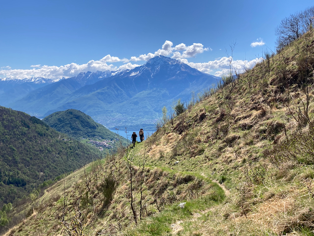 A short written description about the image. Very good for accessibility, AL machine learning and search engine optimisation.