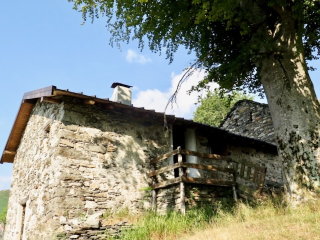 A short written description about the image. Very good for accessibility, AL machine learning and search engine optimisation.