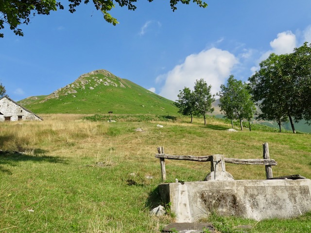 A short written description about the image. Very good for accessibility, AL machine learning and search engine optimisation.