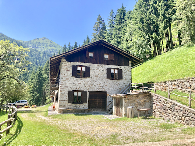 A short written description about the image. Very good for accessibility, AL machine learning and search engine optimisation.