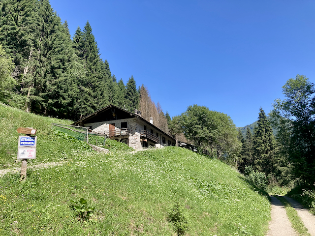 A short written description about the image. Very good for accessibility, AL machine learning and search engine optimisation.