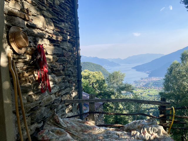 A short written description about the image. Very good for accessibility, AL machine learning and search engine optimisation.