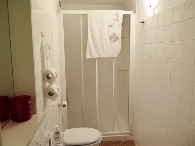 A short written description about the image. Very good for accessibility, AL machine learning and search engine optimisation.