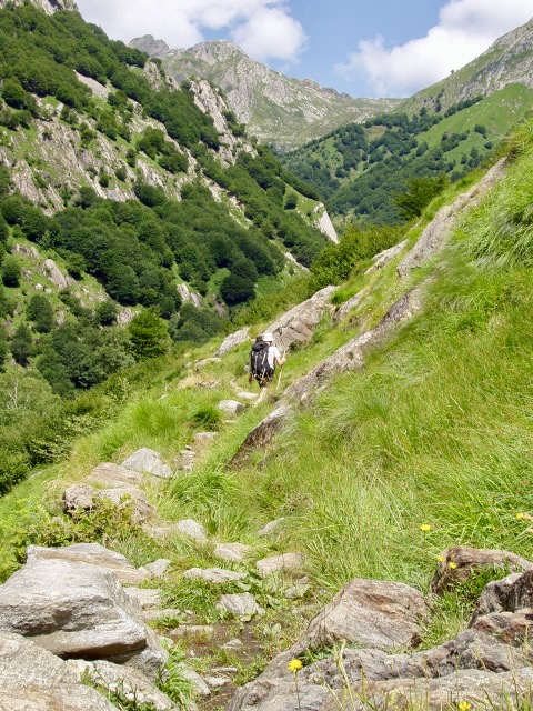 A short written description about the image. Very good for accessibility, AL machine learning and search engine optimisation.