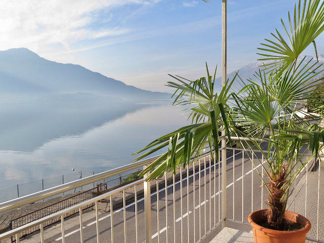 A short written description about the image. Very good for accessibility, AL machine learning and search engine optimisation.