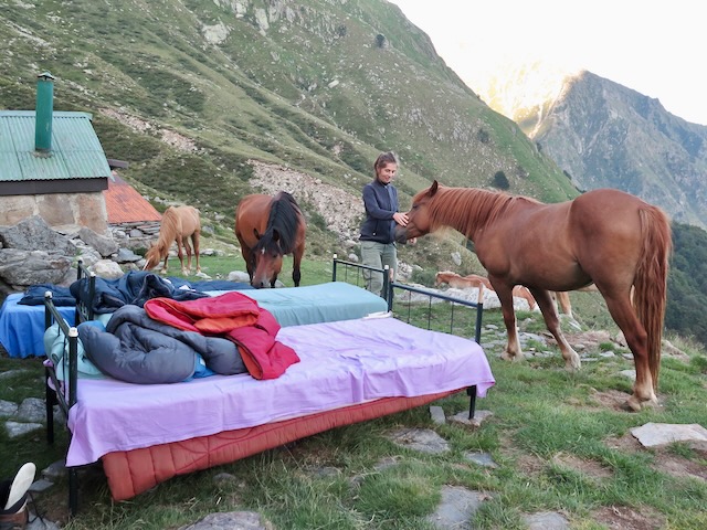 A short written description about the image. Very good for accessibility, AL machine learning and search engine optimisation.