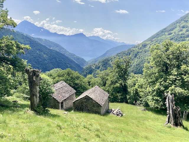 A short written description about the image. Very good for accessibility, AL machine learning and search engine optimisation.